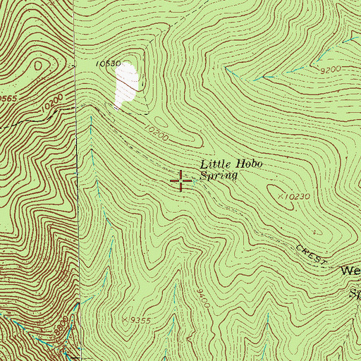 Topographic Map of Little Hobo Spring, NM