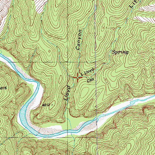 Topographic Map of Little Lloyd Canyon, NM