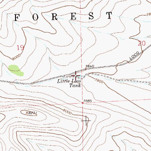 Topographic Map of Little Loco Tank, NM