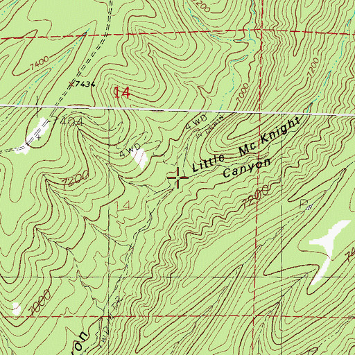 Topographic Map of Little McKnight Canyon, NM