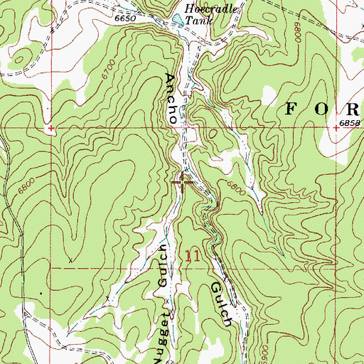 Topographic Map of Little Nugget Gulch, NM