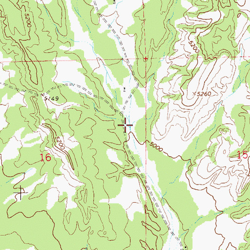 Topographic Map of Little Pat Canyon, NM