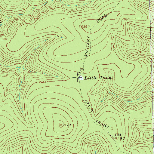 Topographic Map of Little Tank, NM