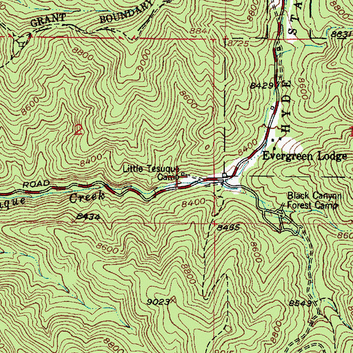 Topographic Map of Little Tesuque Camp, NM