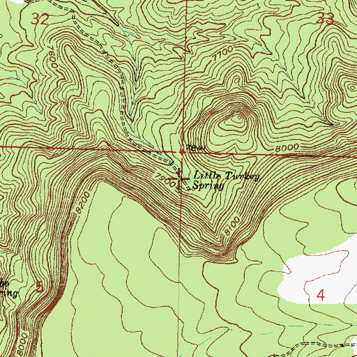 Topographic Map of Little Turkey Spring, NM