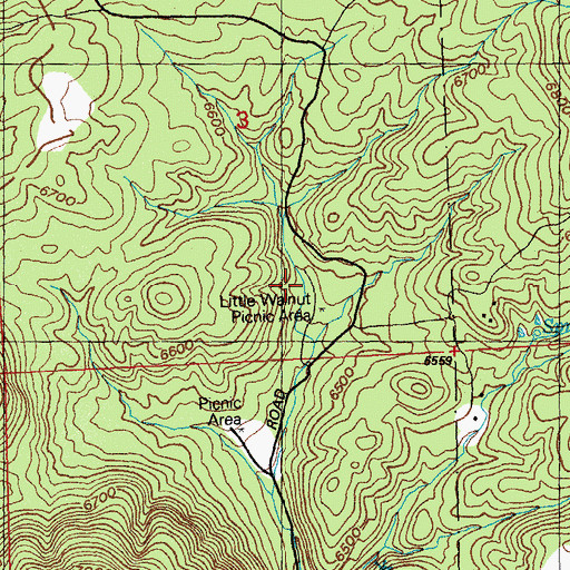 Topographic Map of Little Walnut Picnic Area, NM