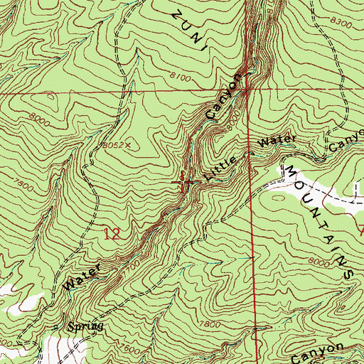 Topographic Map of Little Water Canyon, NM