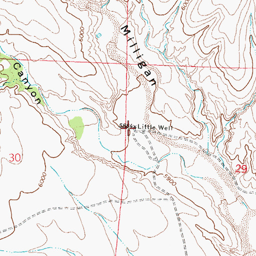 Topographic Map of Little Well, NM