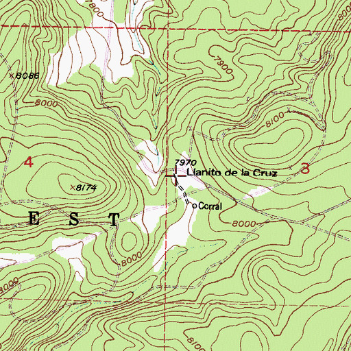 Topographic Map of Llanito de la Cruz, NM