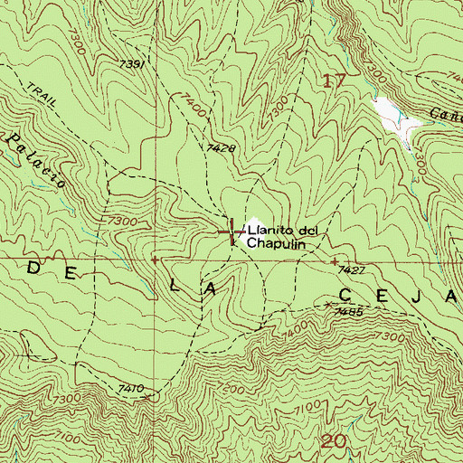 Topographic Map of Llanito del Chapulin, NM