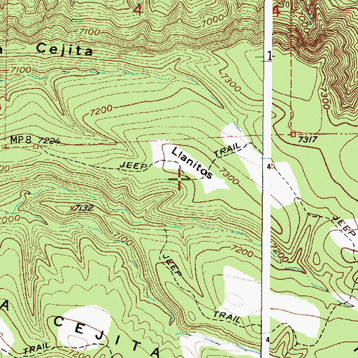 Topographic Map of Llanitos, NM