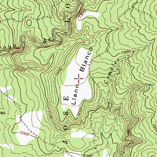 Topographic Map of Llano Blanco, NM