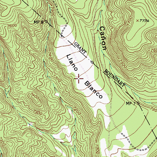 Topographic Map of Llano Blanco, NM