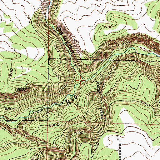Topographic Map of Lobo Canyon, NM