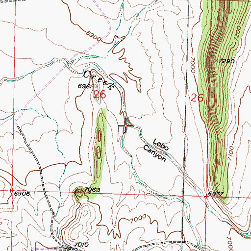 Topographic Map of Lobo Canyon, NM