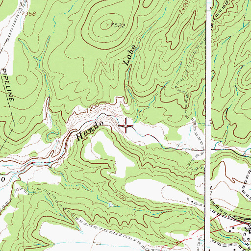 Topographic Map of Lobo Creek, NM