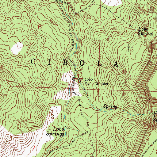 Topographic Map of Lobo Picnic Ground, NM