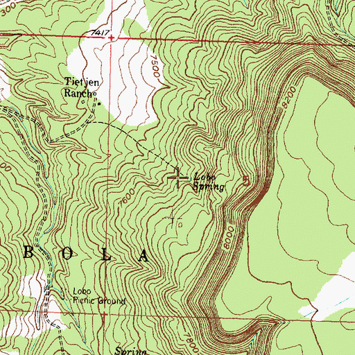 Topographic Map of East Lobo Spring, NM