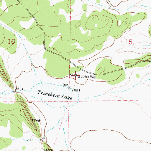 Topographic Map of Lobo Well, NM