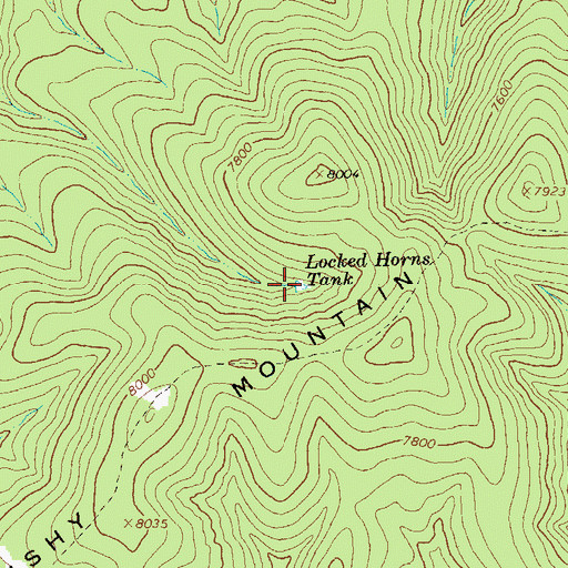 Topographic Map of Locked Horns Tank, NM