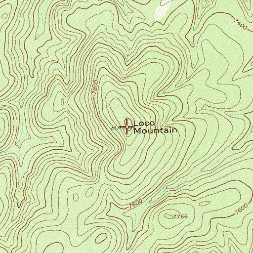 Topographic Map of Loco Mountain, NM