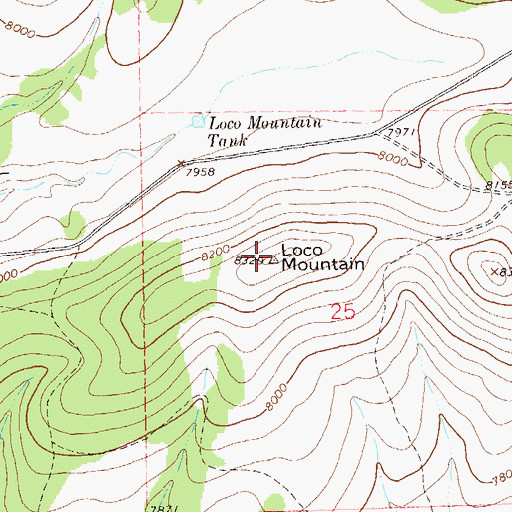 Topographic Map of Loco Mountain, NM