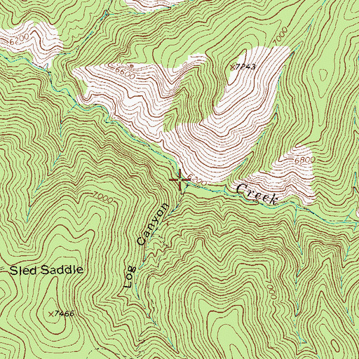 Topographic Map of Log Canyon, NM