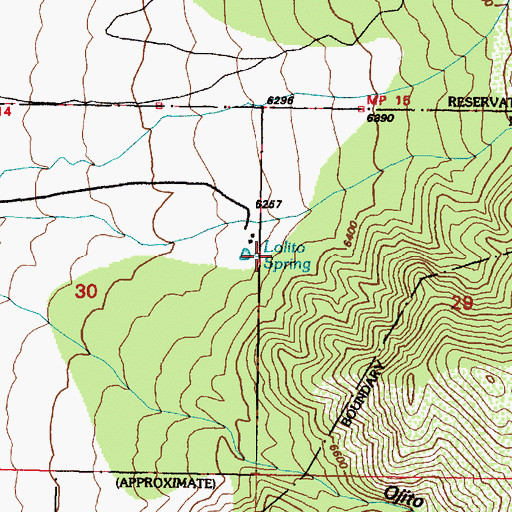Topographic Map of Lolito Spring, NM