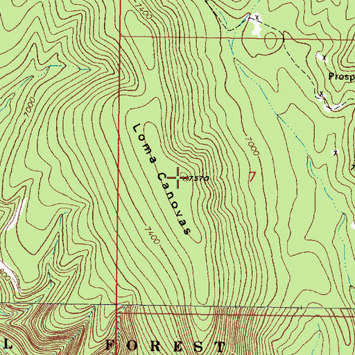 Topographic Map of Loma Canovas, NM