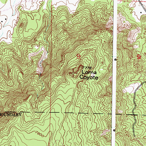 Topographic Map of Loma Coyote, NM