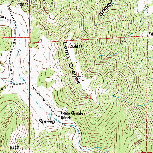 Topographic Map of Loma Grande, NM