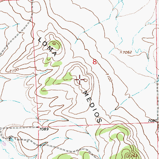 Topographic Map of Loma Medios, NM
