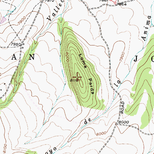 Topographic Map of Loma Parda, NM