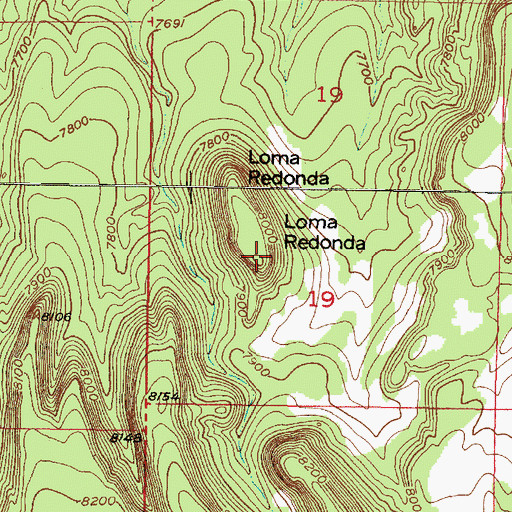 Topographic Map of Loma Redonda, NM
