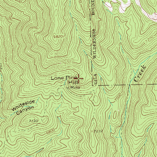 Topographic Map of Lone Pine Hill, NM