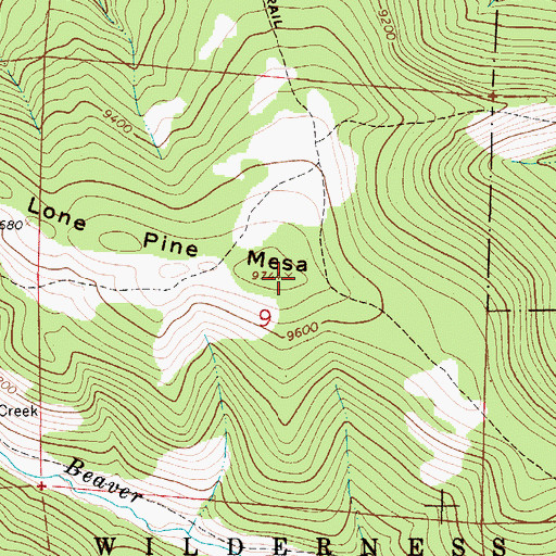 Topographic Map of Lone Pine Mesa, NM