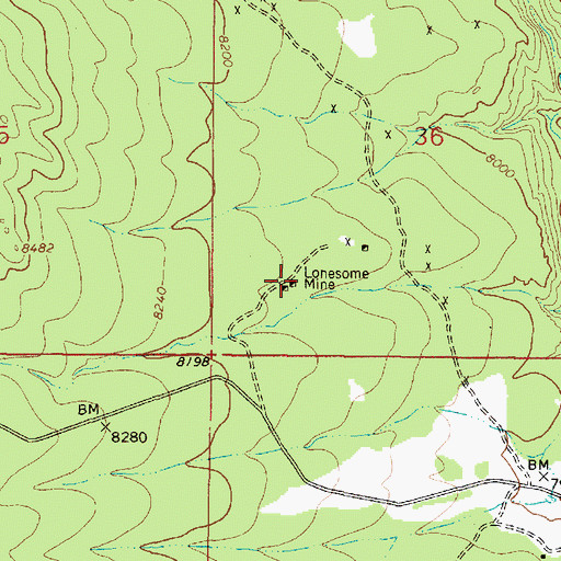 Topographic Map of Lonesome Mine, NM
