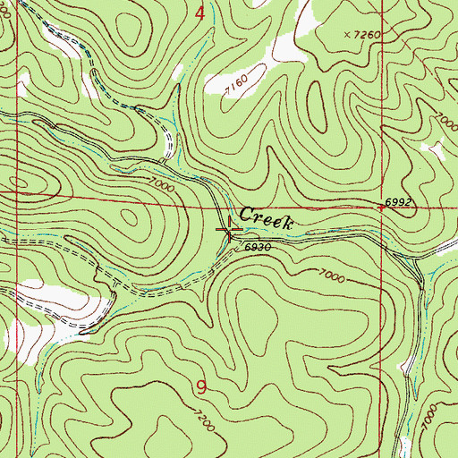 Topographic Map of Long Canyon, NM