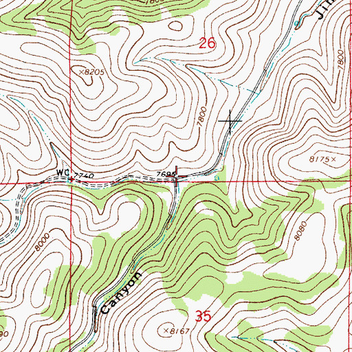 Topographic Map of Long Canyon, NM