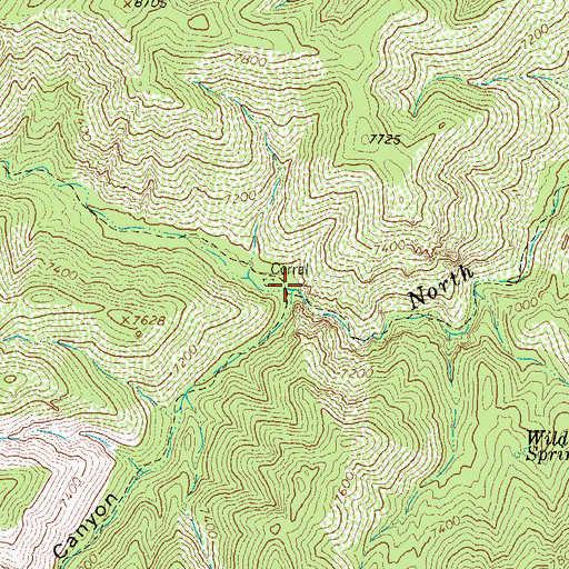 Topographic Map of Long Canyon, NM