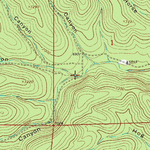 Topographic Map of Long Canyon, NM