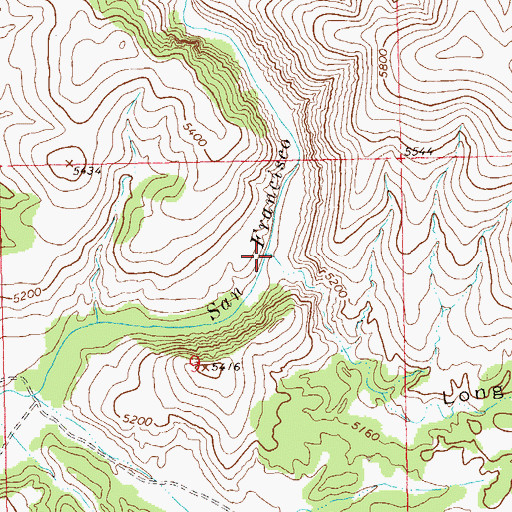Topographic Map of Long Canyon, NM