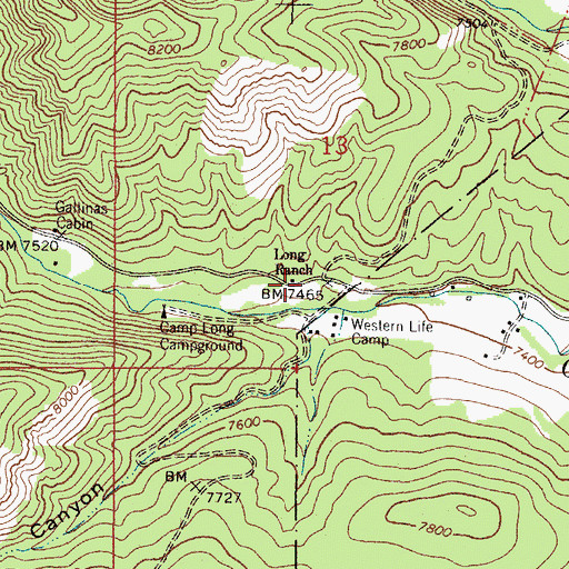 Topographic Map of Long Ranch, NM