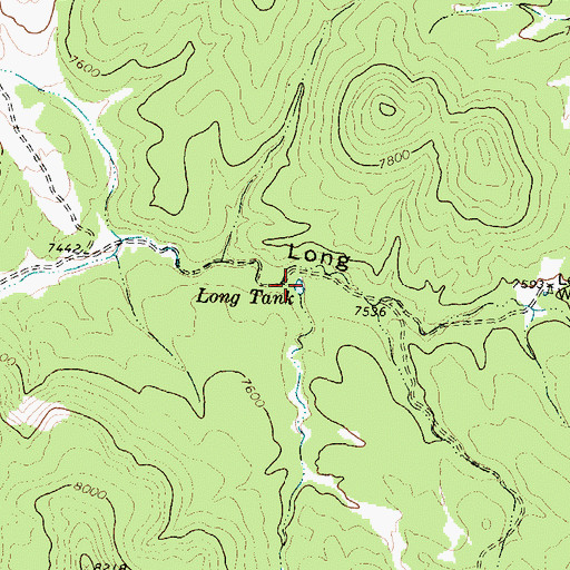 Topographic Map of Long Tank, NM