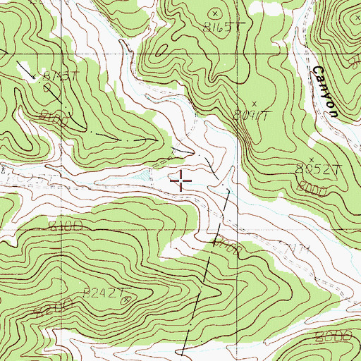 Topographic Map of Lookout Canyon, NM