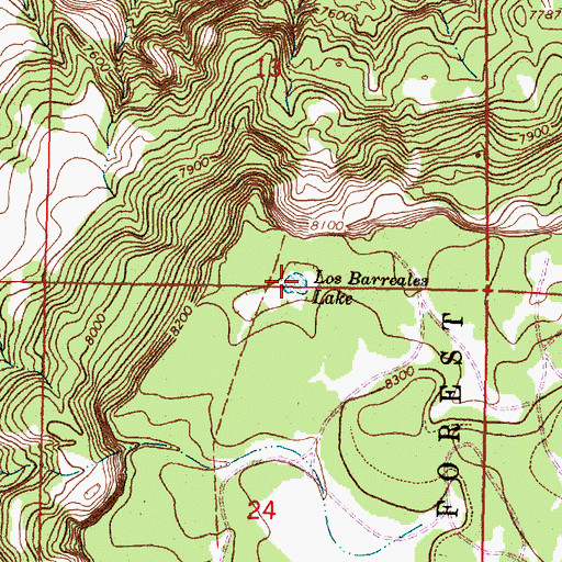 Topographic Map of Los Barreales Lake, NM