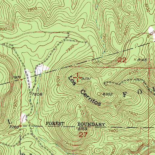 Topographic Map of Los Cerritos, NM