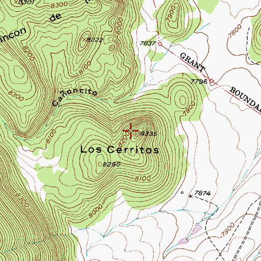 Topographic Map of Los Cerritos, NM