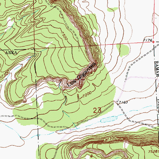 Topographic Map of Los Gigantes, NM