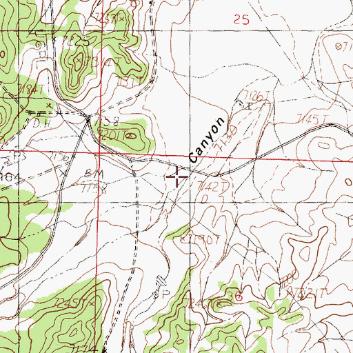 Topographic Map of Los Indios Canyon, NM